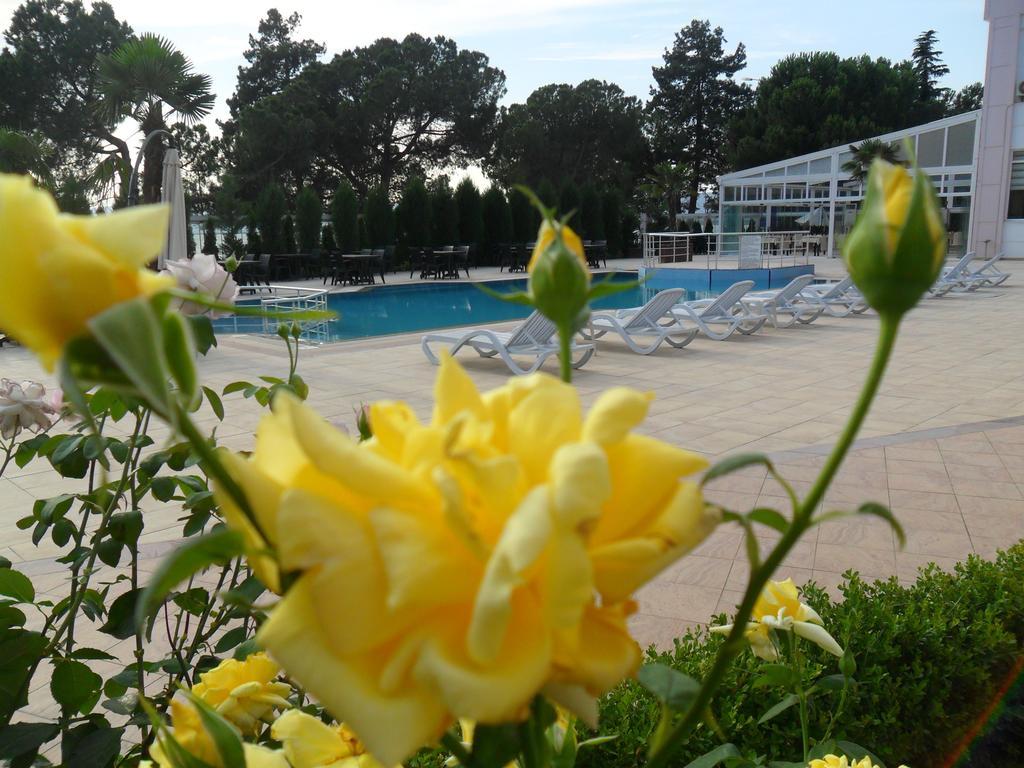Grand Nicea Hotel Iznik ห้อง รูปภาพ